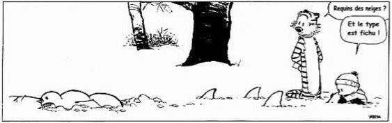 Calvin & Ses Bonhommes de neige (2)