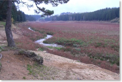 Ruisseau